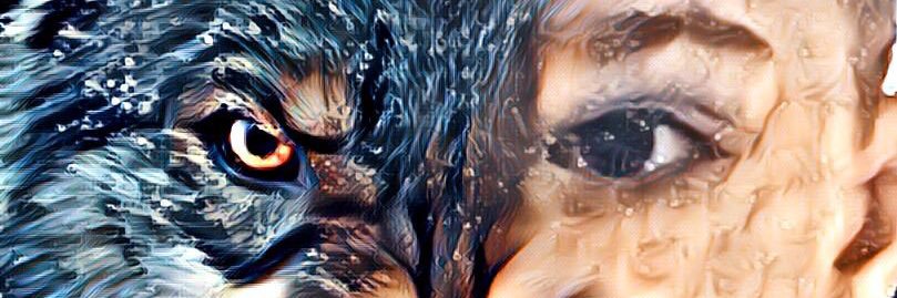 Erci45's profile banner image