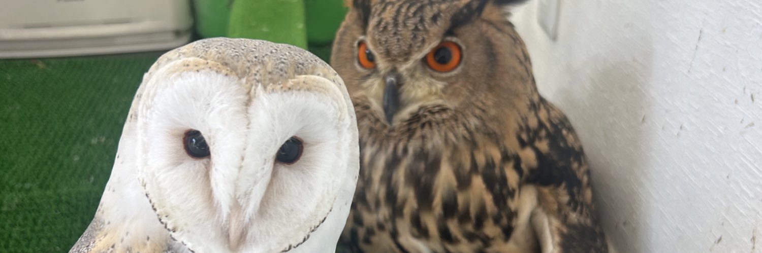 TAKUYA 【owl】 banner