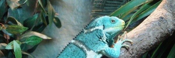 KXy9KyP9xx3U0Rx Profile Banner