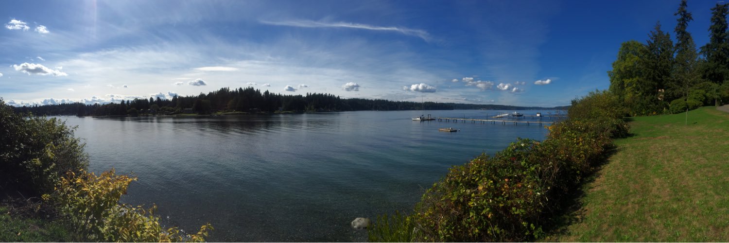 Allison Weins (Buchholtz-Au) banner