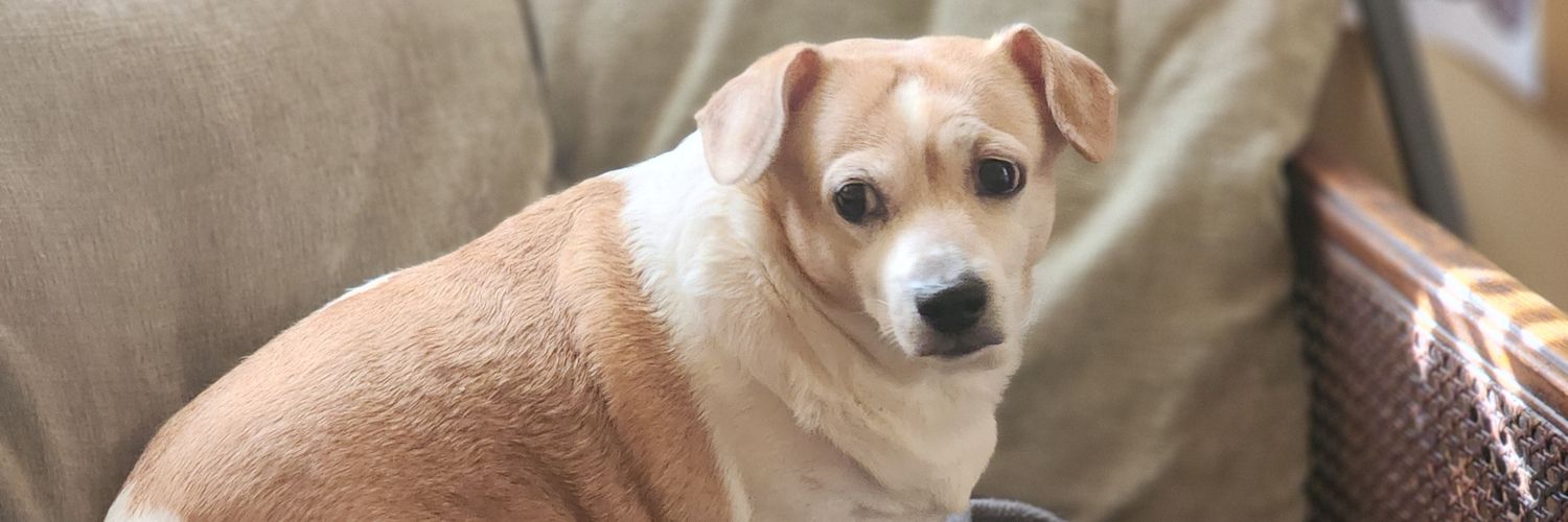 melbodrebo2's profile banner image