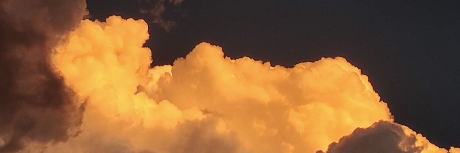 _rocio_pb_'s profile banner image