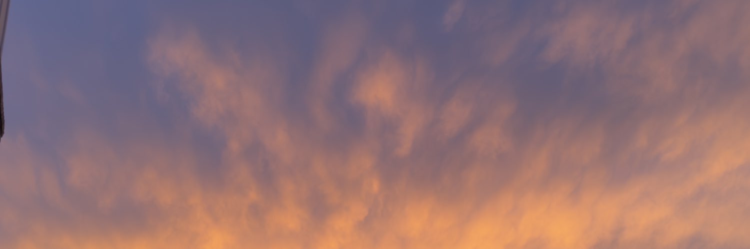 Brianna banner