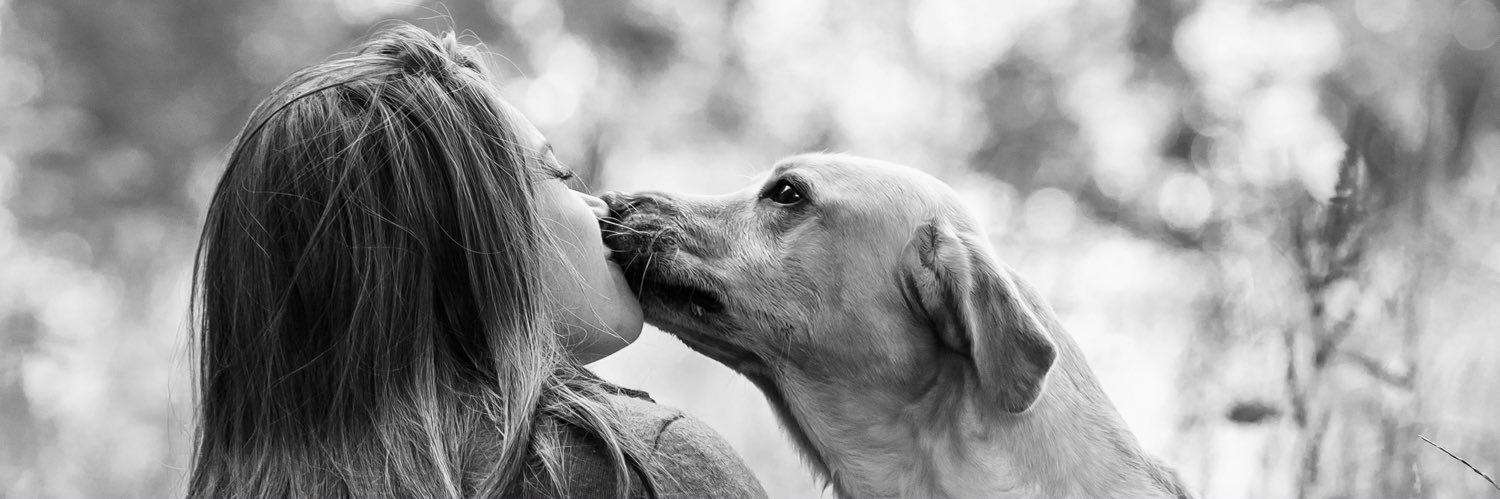 chloebucknell's profile banner image