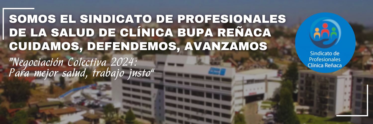 SindProfBUPAReñaca banner