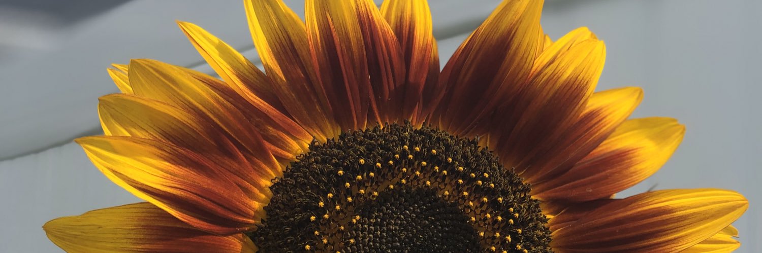 tttttaylorlyn's profile banner image