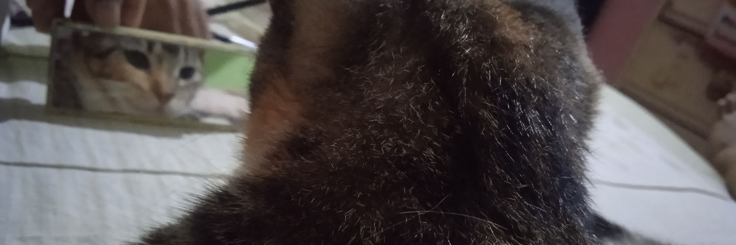josannis's profile banner image