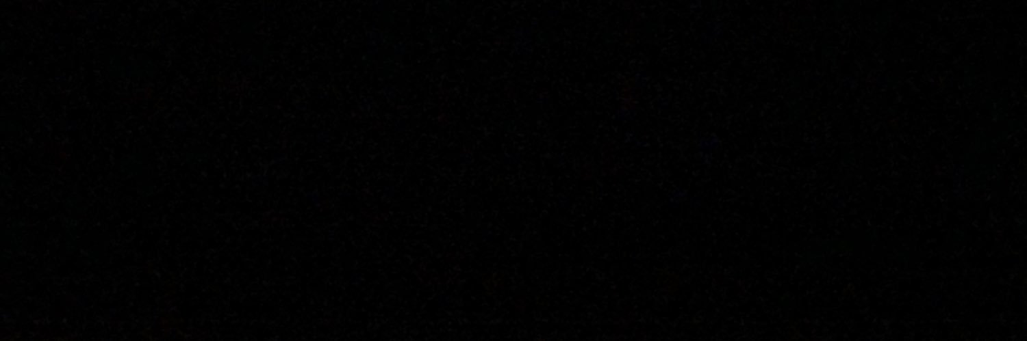PamelaCrunch's profile banner image