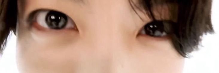 chogoo banner