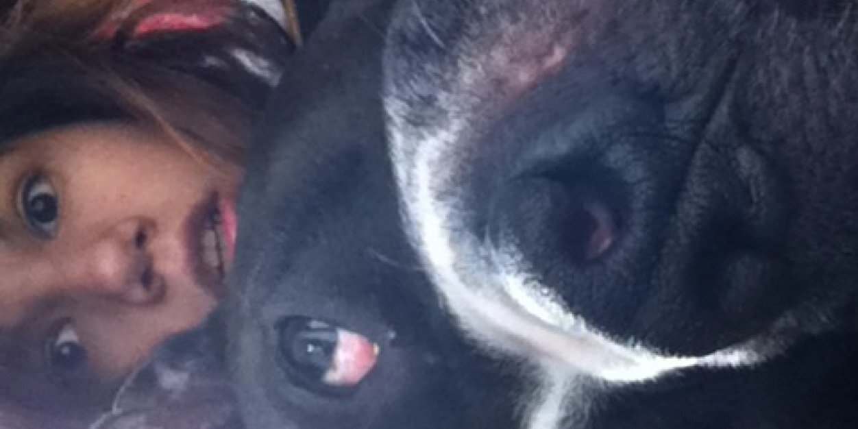 save_the_pitts's profile banner image