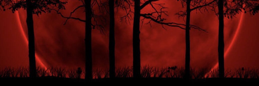 AriesShinigami's profile banner image