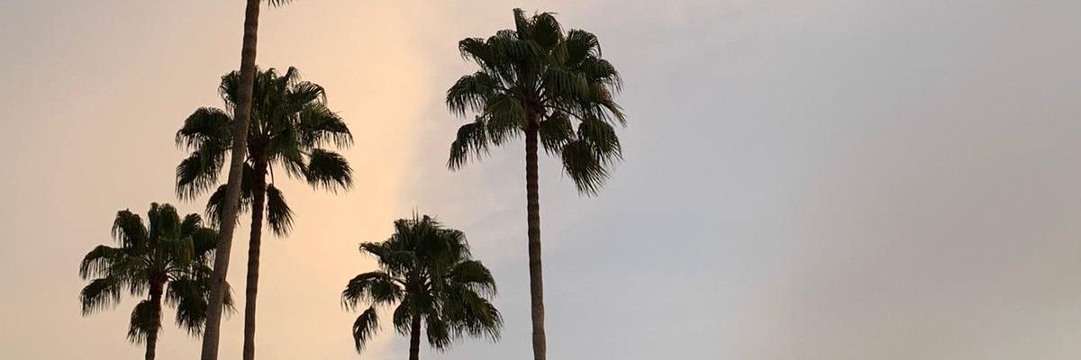 melanie_mse's profile banner image