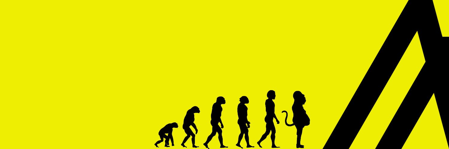 Snark.algo 🐝 banner