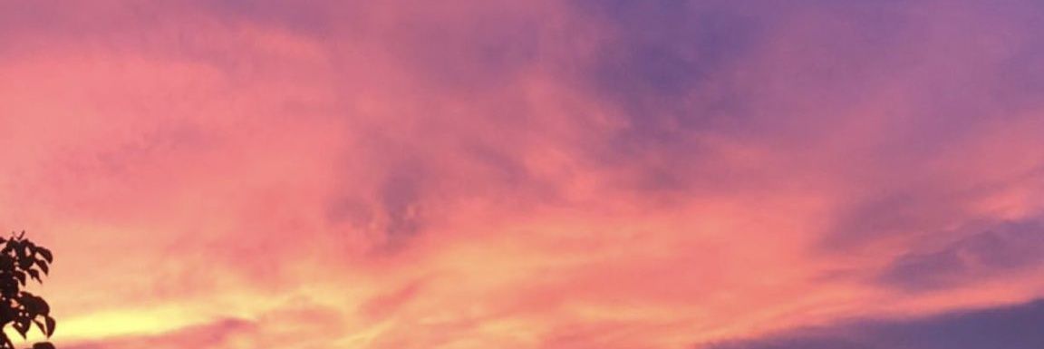 Arizapy's profile banner image