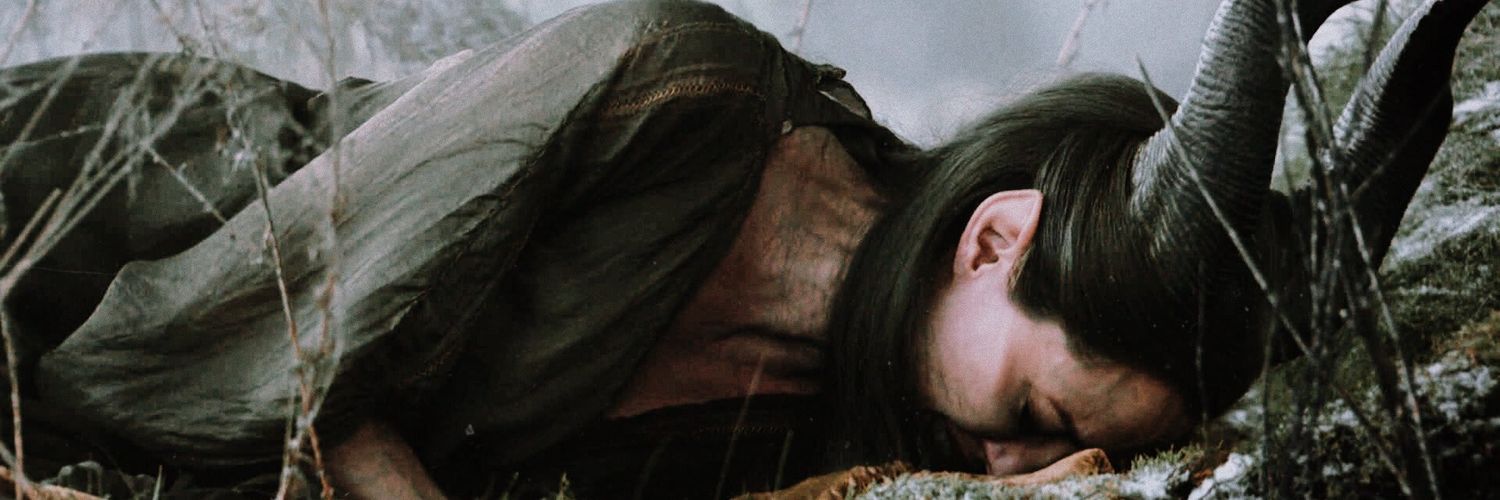 Laurazucena's profile banner image