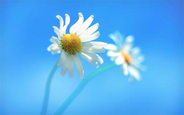 _adrianacc's profile banner image