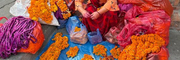 chiara_reid Profile Banner