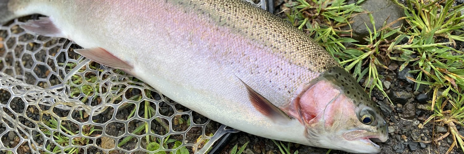 tapir(バク)-w banner