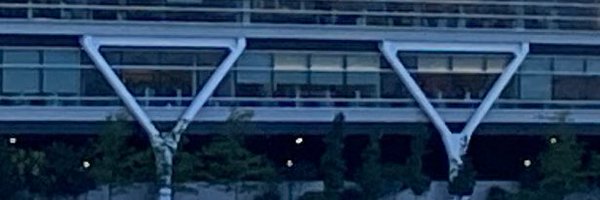 algohq Profile Banner