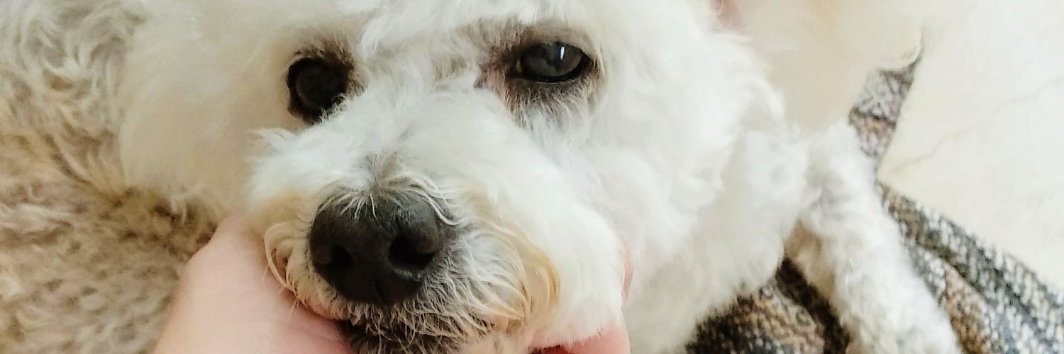 Valeperaltaa's profile banner image