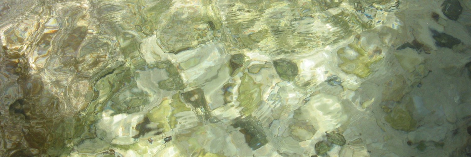 EHMSystem's profile banner image