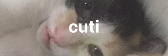 NAT🫶 banner