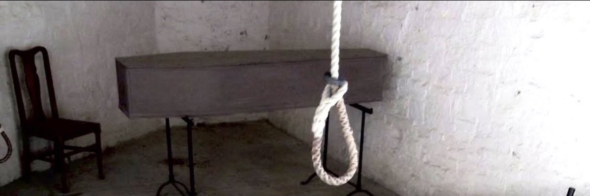 around the fur banner