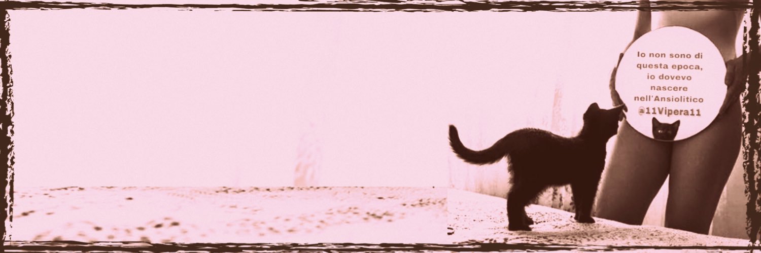 11Vipera11's profile banner image