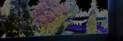 teamscott22's profile banner image