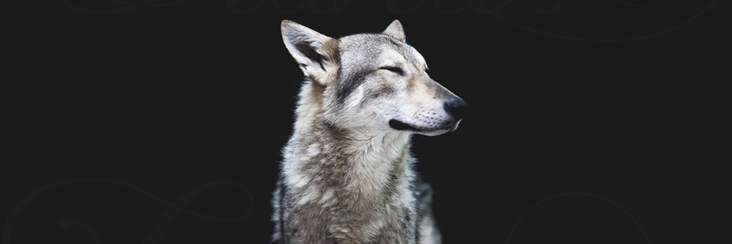 astrinax's profile banner image