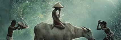 korryagung's profile banner image
