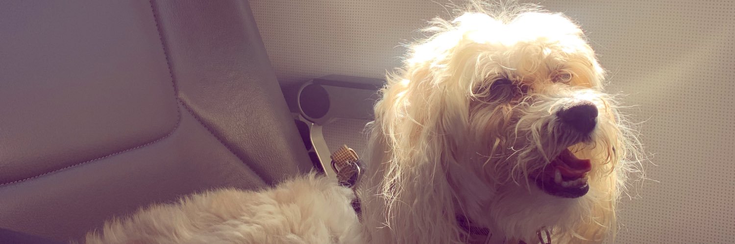 Cyndy_Xo's profile banner image