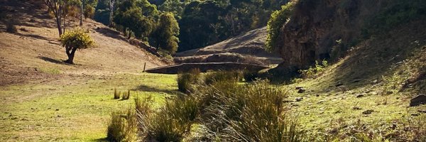 chopsmcmutton Profile Banner