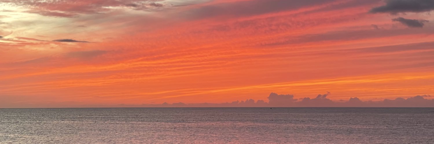madisonmallory4's profile banner image
