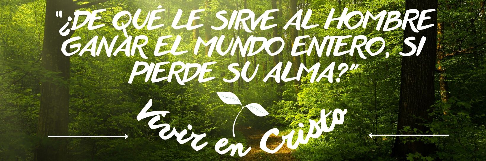 🙏🏼 𝓜𝓪𝓵𝓮🌹𝓐𝓭𝓪𝓶𝓮𝓼 𝓣𝓖❤️🎶🌾🌳🌻🥑🌦️✨ banner
