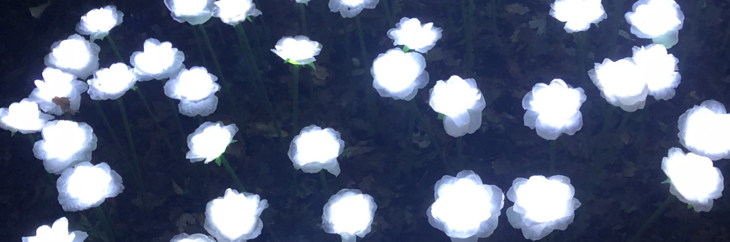 deegoldstrawX's profile banner image