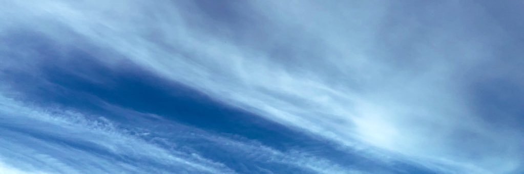 nee_doodle's profile banner image