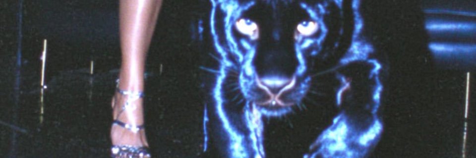 JotaCBG's profile banner image