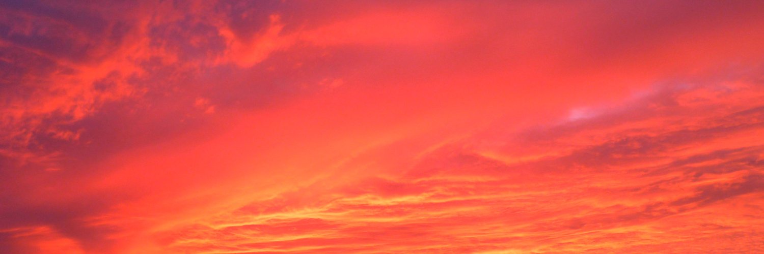 Lee Smithson 🐶 banner