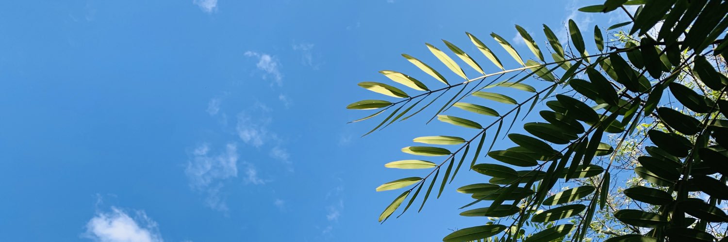 Tff_99999's profile banner image