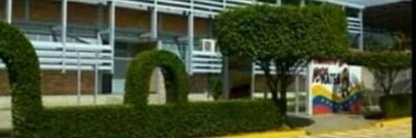 Simoncito Negra Matea banner