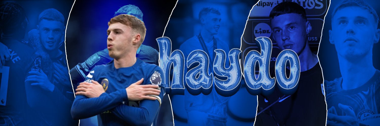 Haydo banner