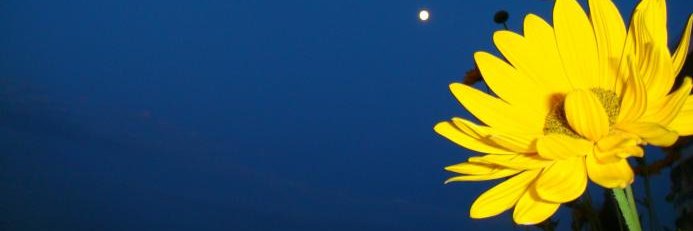 Sky banner