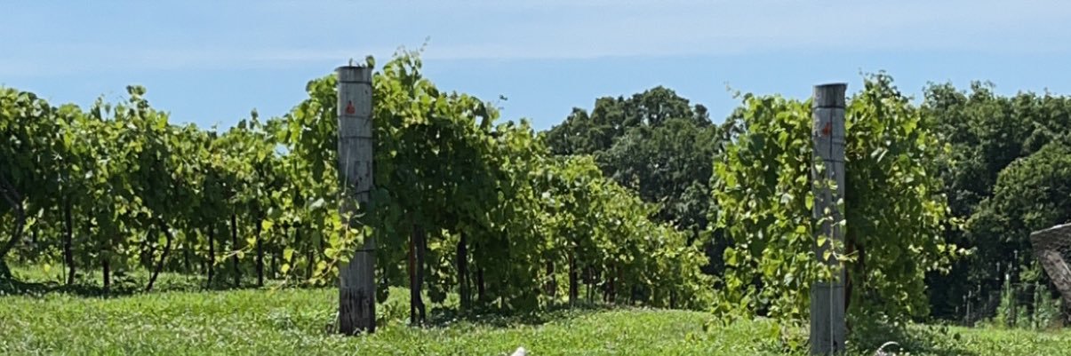 Jowler Creek Winery & Vineyard banner