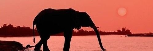 Wen_Darco's profile banner image