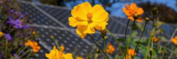 reactivate_llc Profile Banner