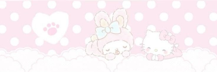 sofi burrinha banner