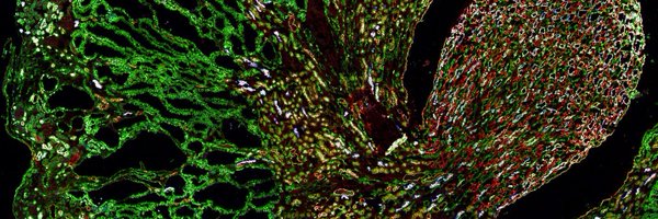 GrekaLab Profile Banner