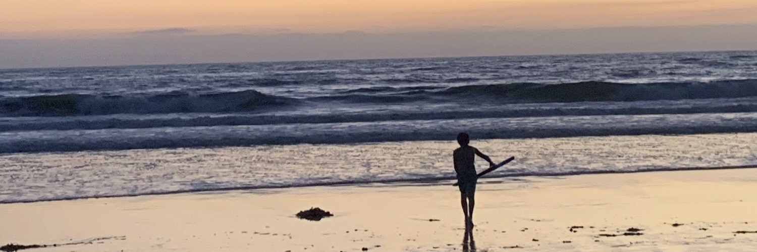 sdtangerine's profile banner image