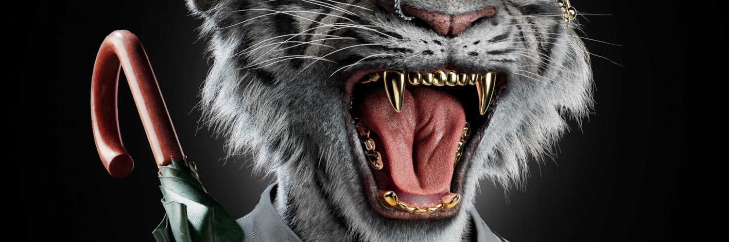 NYAN🔫😼 banner